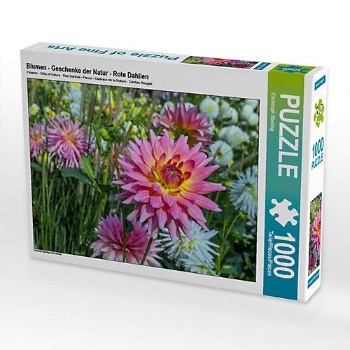 Puzzle Blumen - Geschenke der Natur - Rote Dahlien Foto-Puzzle Bild von Christoph Ebeling Puzzle