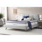 Queen 13" Mattress - Brooklyn Bedding Plush Pillow Top | 13 D in Wayfair WS13PT50P-Q