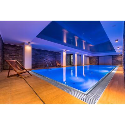 Edelstahlpool mit Überlauf 3,4x8m Image