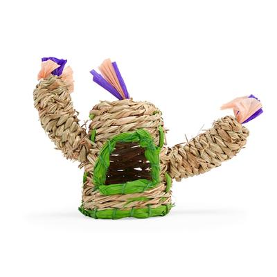 You & Me Small Animal Cactus Chewable Hideaway, Medium