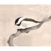 August Grove® Little Painted Bird Sparrow Black & - Print on Canvas in Brown | 12 H x 18 W x 1.25 D in | Wayfair 565499553E7A4663986A7304B6C348B2