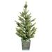 The Holiday Aisle® Green Glittered Norway Spruce Faux Tree Plastic | 29 H x 12 W x 12 D in | Wayfair 9A7FEF41965B491DB294BA091A2BCDFF