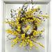 Primrue Forsyfhia 28" Styrofoam Wreath Silk/Wood/Twig in Brown/Green/Yellow | 28 H x 28 W x 8 D in | Wayfair 215ABB61CA0F497683CB8F2CAC60E23C