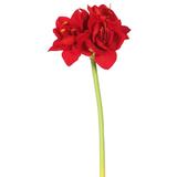 Vickerman 28" Artificial Single Red Velvet Amaryllis Stem, Set of 3