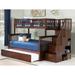 Columbia Staircase Bunk Bed Twin over Full with Twin Trundle in Walnut