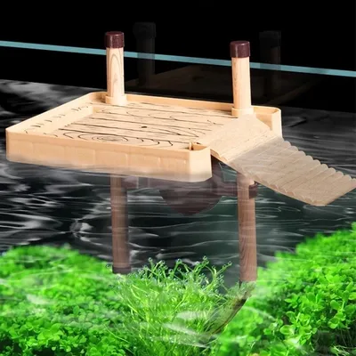 Tortue d'eau flottante brésilienne plate-forme flottante pour Aquarium