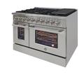 Brama 48" Double Oven Gas Range, in Stainless Steel in White | 38 H x 48 W x 28.75 D in | Wayfair BR-48SSGG