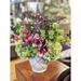 Primrue Hydrangea w/ Magnolia & Heather Mixed Floral Arrangement in Pot Silk/Plastic in Green/Yellow | 20 H x 25 W x 22 D in | Wayfair