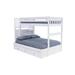 Viv + Rae™ Beckford Twin over Twin 7 Drawers Solid Wood Bunk Bed Wood in White | 63 H x 57 W x 98 D in | Wayfair 70D343FA5CAF4AA4B01780942653B267