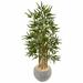 Primrue 4’ Bamboo Tree In Sand Colored Bowl | 10 H in | Wayfair 51127910E794451B8CF9E7B1B8BE2211