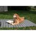 The Kennel Deck Plastic in Gray | 47.5 H x 23.5 W x 2 D in | Wayfair KD100