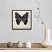 Gracie Oaks Butterfly Study III by Wang Melissa - Print on Canvas Canvas | 14 H x 14 W x 2 D in | Wayfair B2D46AC477F448FFBBDA6E905EAA52BD