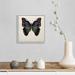 Gracie Oaks Butterfly Study III by Wang Melissa - Print on Canvas Canvas | 14 H x 14 W x 2 D in | Wayfair AD7A619ABC7D4C8983A22244C09AAD86