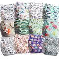 Littles and Bloomz Baby Reusable Pocket Nappy Cloth Diaper, Standard Popper, 12 Nappies, FLP2-1203