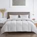 Serta Super Soft 233 Thread Count Goose Feather & Down Comforter By Serta All Season Full/Queen Down & Feather Blend in White | Wayfair SE003025