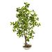 4' Schefflera Bonsai Artificial Plant in Planter - 20"D x 23"W x 48"H