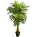 5' Double Stalk Hawaii Palm Artificial Tree - 11"W x 11"D x 60"H
