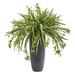 33'' Spider Artificial Plant in Cylinder Planter - 30"W x 30"d x 33"H