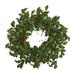 28" Holly Berry Artificial Wreath - Green-Red - 4" x 28" x 28"