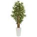 5' Bamboo Tree in White Tower Planter - 30"D x 30"W x 60"H