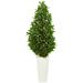 63" Bay Leaf Cone Topiary Artificial Tree in White Planter UV Resistant (Indoor/Outdoor) - 63"H x 24"W x 24"D