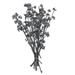 Vickerman 681466 - 13"x1-3" Red Gum Grey Frosted 14Pc Bunch (H1RGM800) Dried and Preserved Branches