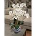 Primrue Phalaenopsis Orchid Floral Arrangement in Vase Plastic/Polysilk in Blue/White | 30 H x 25 W x 10 D in | Wayfair