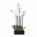 House of Hampton® Orchid Floral Arrangement in Planter Polyester | 21 H x 12 W x 8 D in | Wayfair F4CA2DB5BC1744A8B2B6B084ADFCF173