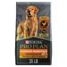 Purina High Protein with Probiotics Shredded Blend Chicken and Rice Formula Dry Dog Food, 35 lbs.