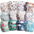 Littles and Bloomz Baby Reusable Pocket Nappy Cloth Diaper, Standard Hook-Loop, 12 Nappies, FLV2-1203