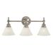 Framburg Taylor 24 Inch 3 Light Bath Vanity Light - 2433 MB/AM