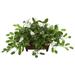 Mix Stephanotis Artificial Plant in Decorative Planter