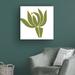 Winston Porter Protea by Trish Sierer - Wrapped Canvas Graphic Art Canvas in Gray/Green/White | 24 H x 24 W x 2 D in | Wayfair