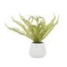 Juniper + Ivory 14 In. x 18 In. Contemporary Artificial foliage White Ceramic - 64086