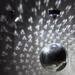 The Holiday Aisle® Mirror Disco Ball LED Net Lights in White | 12.9 H x 21.9 D in | Wayfair 3EABC748C91B4590A9909E39E9AE9EE4