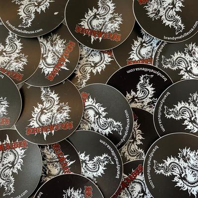 Brandy Melville Other | Brandy Melville “Chinese Dragon” Stickers | Color: Black | Size: Os