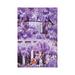 East Urban Home Wisteria in London by Hobopeeba - Photograph Print Canvas in Green/Indigo | 18 H x 12 W x 1.5 D in | Wayfair