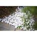 MSI Himalaya White Marble 1-2 in. Landscaping Rock Pebbles 40 lb. Bag (55 Bags) | Wayfair WAY-MHIMWHI5NAT40FP