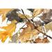 Winston Porter Autumn Leaves I by Samuel Dixon - Wrapped Canvas Painting Canvas in Gray/Green/Yellow | 8 H x 12 W x 1.25 D in | Wayfair