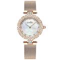 RORIOS Women Watches Waterproof Mother of Pearl Analog Quartz Watch with Stainless Steel Strap Fashion Dress Diamonds Ladies Wrist Watch