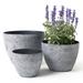 Latitude Run® Nova 3 - Piece Plastic Pot Planter in Gray | 10.6 H x 14.2 W x 14.2 D in | Wayfair 9C114EC70C104F6499562078C9A0A5E8