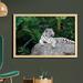 East Urban Home Ambesonne Safari Wall Art w/ Frame, White Tiger Setting On Stone Tropic Plants Leaves Wild Jungle Majestic | Wayfair