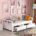 Hokku Designs Bravon Wooden Daybed w/ Trundle Bed & Two Storage Drawers Wood in White | 23.2 H x 79 W x 78.2 D in | Wayfair