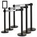 VIP Crowd Control 36" Retractable Belt Queue Safety Stanchion Barrier (6 Posts w/78" Keep Social Distance+SF+WR) in Black | Wayfair