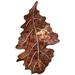 Red Barrel Studio® Leaf Wall Décor Metal in Brown | 14.25 H x 9.5 W x 1 D in | Wayfair 21874A9951E0424FA65424D75F685AF5