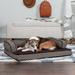 FurHaven Plush & Diamond Décor Comfy Couch Pet Bed Polyester in White/Brown | 7 H x 36 W x 27 D in | Wayfair 86436251