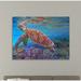 Bay Isle Home™ "Hawksbill" Gallery Wrapped Canvas By Iris Scott Canvas in White | 36 H x 48 W x 1.5 D in | Wayfair AB960F38B764443AB361DCB82B2B539B