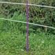 Purple 5FT Poly Post 155cm Tall Plastic Fencing Stake | Reinforced Electric Fence Pole | Ideal for Temporary Horse Electric Fences | Portable Paddock Fencing Equestrian Livestock Grazing Control (60)