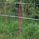 Pink 5FT Poly Post 155cm Tall Plastic Fencing Stake | Reinforced Electric Fence Pole | Ideal for Temporary Horse Electric Fences | Portable Paddock Fencing Equestrian Livestock Grazing Control (10)