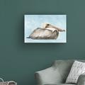 Highland Dunes Soft Brown Pelican I by Stellar Design Studio - Wrapped Canvas Painting Canvas in Gray/White | 12 H x 19 W x 2 D in | Wayfair